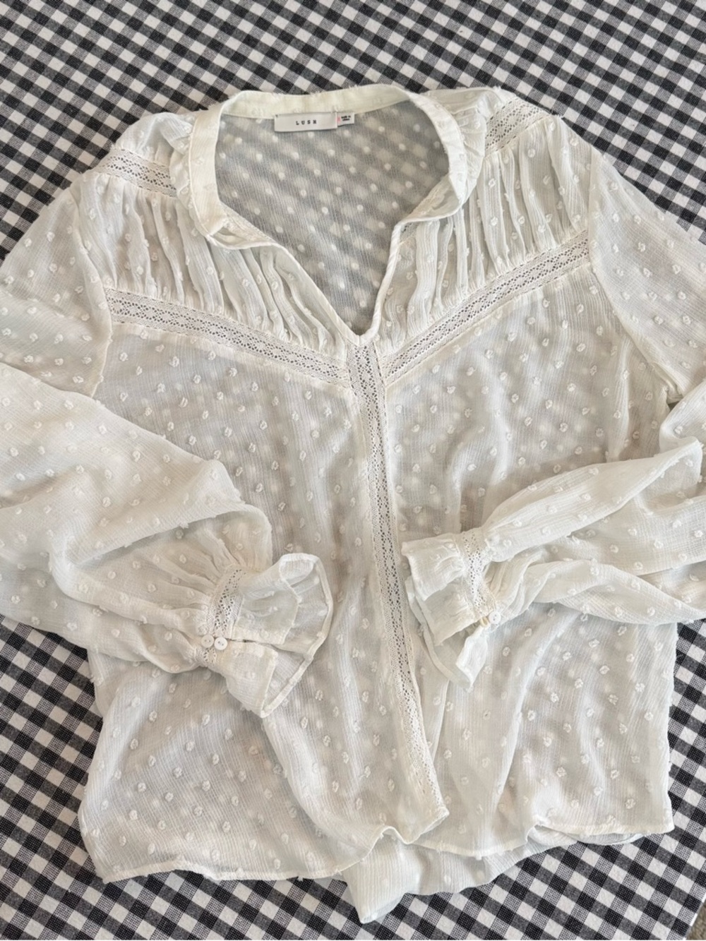 Lush White Swiss Dot Sheer Blouse